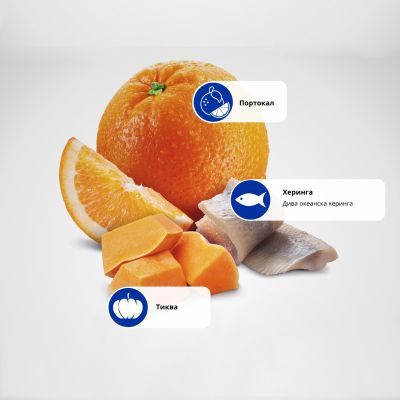 N&D CAT PUMPKIN HERRING&ORANGE ADULT – пълноценна храна с тиква за котки над 1 година, с херинга и портокали