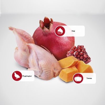 N&D CAT PUMPKIN QUAIL&POMEGRANATE ADULT – пълноценна храна с тиква за котки над 1 година, с пъдпъдък и нар