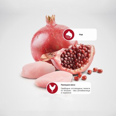 N&D PRIME DOG CHICKEN & POMEGRANATE PUPPY MINI 0.8- пълноценна храна за подрастващи кучета до 1 г. от дребни породи с пиле и нар