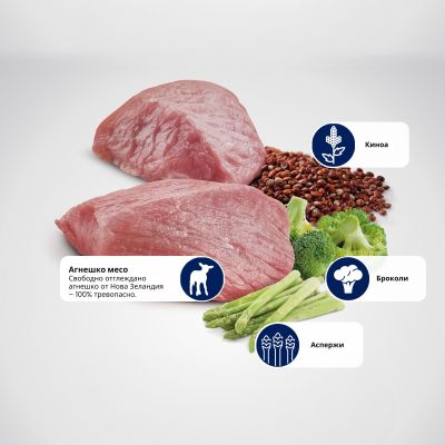 N&D QUINOA WEIGHT MANAGEMENT ADULT MINI LAMB, BROCCOLI 0.8КГ – пълноценна храна с киноа за кучета в зряла възраст над 1г. за контрол на теглото с агнешко и броколи