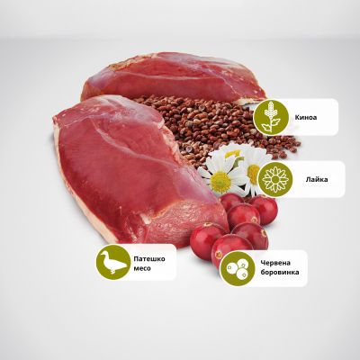 N&D QUINOA URINARY DUCK, CRANBERRY 300г – пълноценна храна с киноа за котки над 1г. за уринарен тракт с патица, червена боровинка и лайка