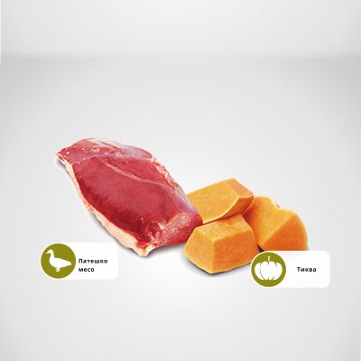 N&D CAT DUCK & PUMPKIN 70ГР – за котки над 1 година, с патица и тиква