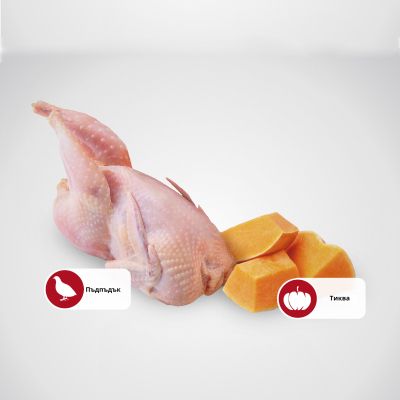 N&D CAT QUAIL & PUMPKIN 70ГР – за котки над 1 година, с пъдпъдък и тиква