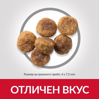 SP Canine Adult  Small&Mini Lamb&Rice /с агнешко и ориз/ 5+1 - За дребни и миниатюрни породи кучета до 10 кг на възраст над 1 година