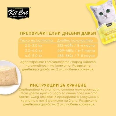 KIT CAT Pouch Chicken & Salmon 70g - ПАУЧ Пилешко и сьомга в аспик (желе)																																																																																																																																																																													