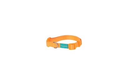 FreeDog Basic Nylon Collar 15mm – класически найлонов нашийник15mm*35/50cм