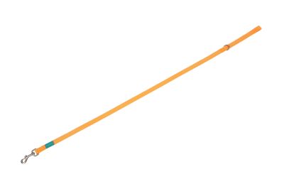 FreeDog Basic Nylon Leash 20mm - регулируем повод 20/120 