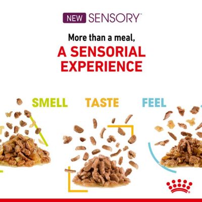 Royal Canin SENSORY TASTE GRAVY 85g