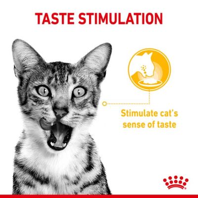 Royal Canin SENSORY TASTE GRAVY 85g