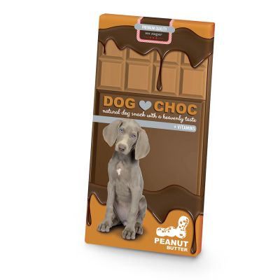 EBI - DogChoc - 100g Шоколад за кучета фъстъчено масло