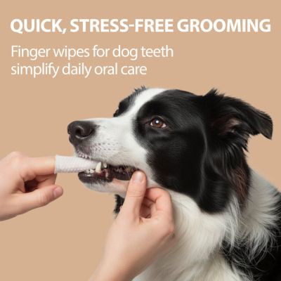 NATURÉ TEETH WIPES 50 бр.- Мокри кърпички /напръстник/ за почистване на зъби за кучета и котки