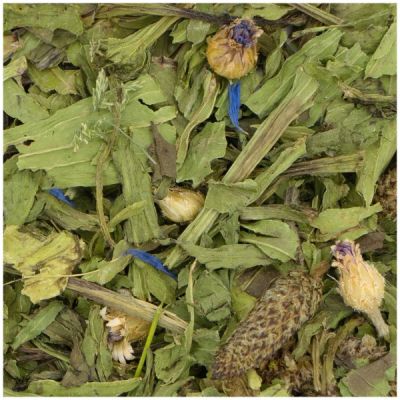JR FARM - Живовляк за гризачи 100g