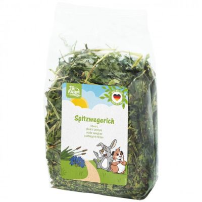 JR FARM - Живовляк за гризачи 100g