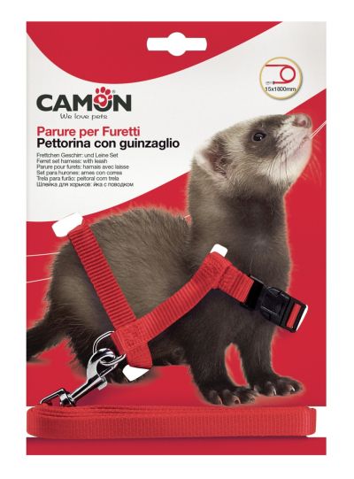 Camon - Комплект за разходка на порче