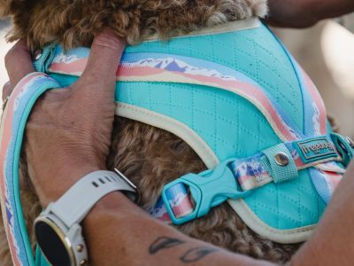 Peak Harness Sierra – охлаждащ нагръдник за кучета