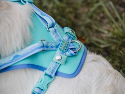 Peak Harness Pedra – охлаждащ нагръдник за кучета