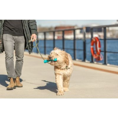 Trixie - Ултра здрава играчка тип пръчка 14см