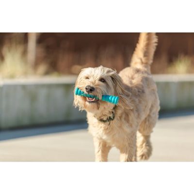 Trixie - Ултра здрава играчка тип пръчка 14см