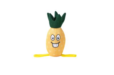 Freedog Floating Pineapple Plush Toy 10x25cm-ПЛУВАЩА ИГРАЧКА ЗА КУЧЕ ананас