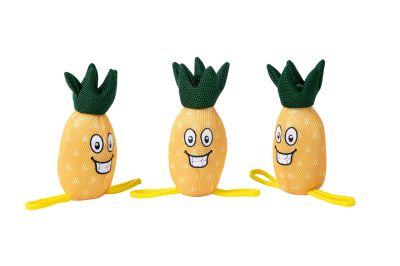 Freedog Floating Pineapple Plush Toy 10x25cm-ПЛУВАЩА ИГРАЧКА ЗА КУЧЕ ананас