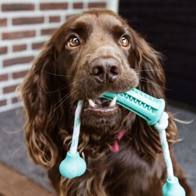 Nobby Гумени играчки DENTAL LINE с аромат на мента  - стик с въже 37 х 9 см. 