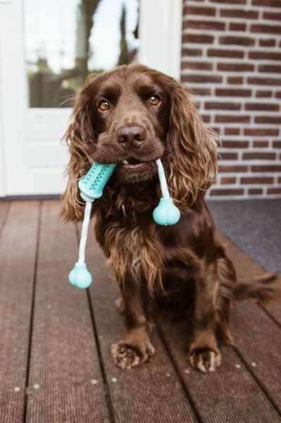 Nobby Гумени играчки DENTAL LINE с аромат на мента  - стик с въже 37 х 9 см. 