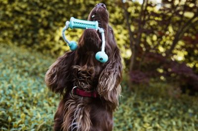 Nobby Гумени играчки DENTAL LINE с аромат на мента  - стик с въже 37 х 9 см. 