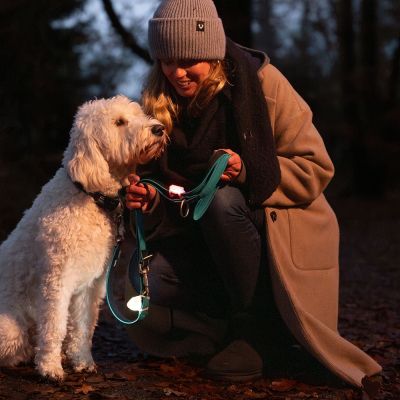 Nobby Светещ клипс "Multi Light"