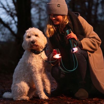 Nobby Светещ клипс "Multi Light"