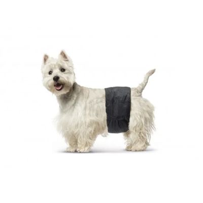 Savic Male Nappy мъжки памперс S, 12 бр./оп