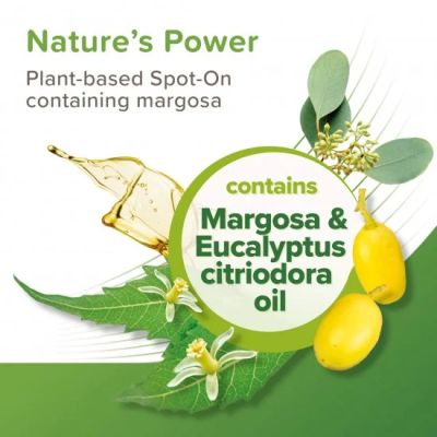 Beaphar VETOpure Flea Spot-On капки против бълхи за котки и котенца над 12 седмици, 3 пипети