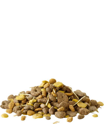 Versele-Laga Snack with fibres - гранулирана храна за гризачи с фибри