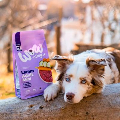 WOW Dog Adult Mini - агнешко, салвия и сладък картоф