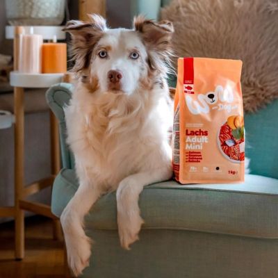 WOW Dog Adult Mini - риба, спанак и сладък картоф