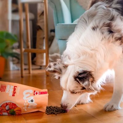 WOW Dog Adult Mini - риба, спанак и сладък картоф