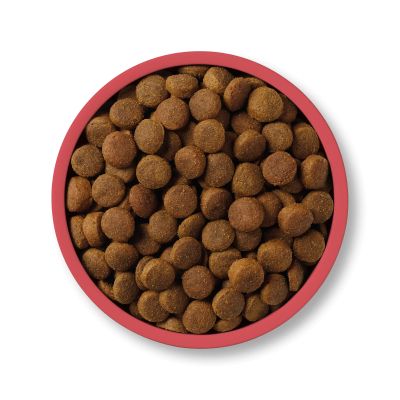 Applaws Dog Adult L 85% 12кг - Суха храна за кучета от големите породи с пиле