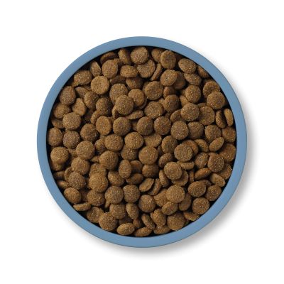 Applaws Dog Senior 90% 4кг - Суха храна за възрастни кучета от всички породи с пиле