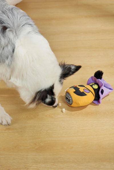 M-pets Halloween Snack Attack Dog Toy Pumpkin - Играчка за куче с дозатор за лакомства Тиква
