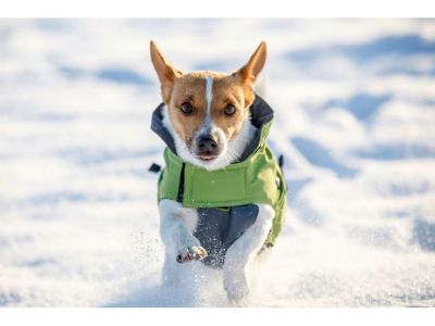 Kerbl - Dog Coat Vancouver - Яке Ванкувър S 35см