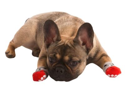Kerbl - Dog Socks Bruno - Чорапки Бруно 4бр