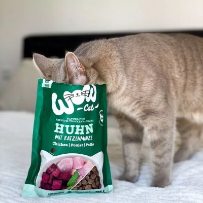 WOW Cat Adult суха храна за котки с пиле и котешка трева