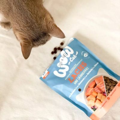WOW Cat Adult суха храна за котки със сьомга и червени боровинки