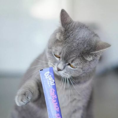 WOW Кремообразен снакс с нежни парченца сочна сьомга 5x15 гр.