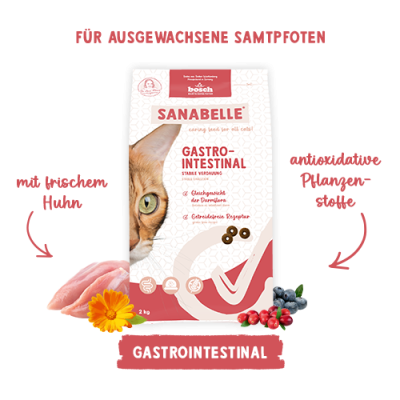 Sanabelle Gastrointestinal - суха храна за котки със стомашно-чревни проблеми