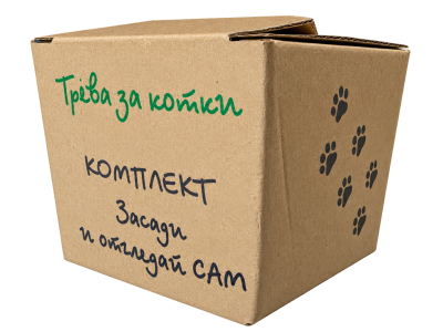 Комплект Засади и отгледай сам трва за котки 